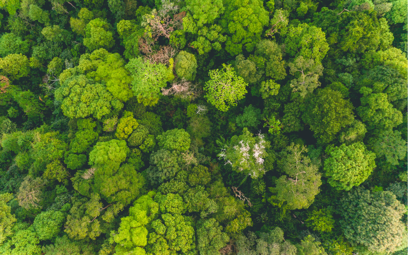 Environmental Monitoring